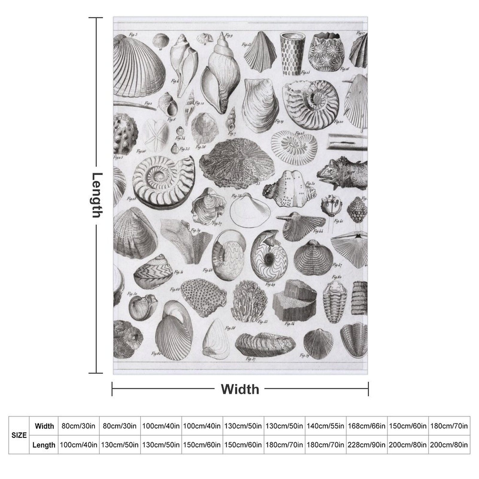 1857 Diagram Paleontology: Fos - 3D Printing Diagram 评论和价格